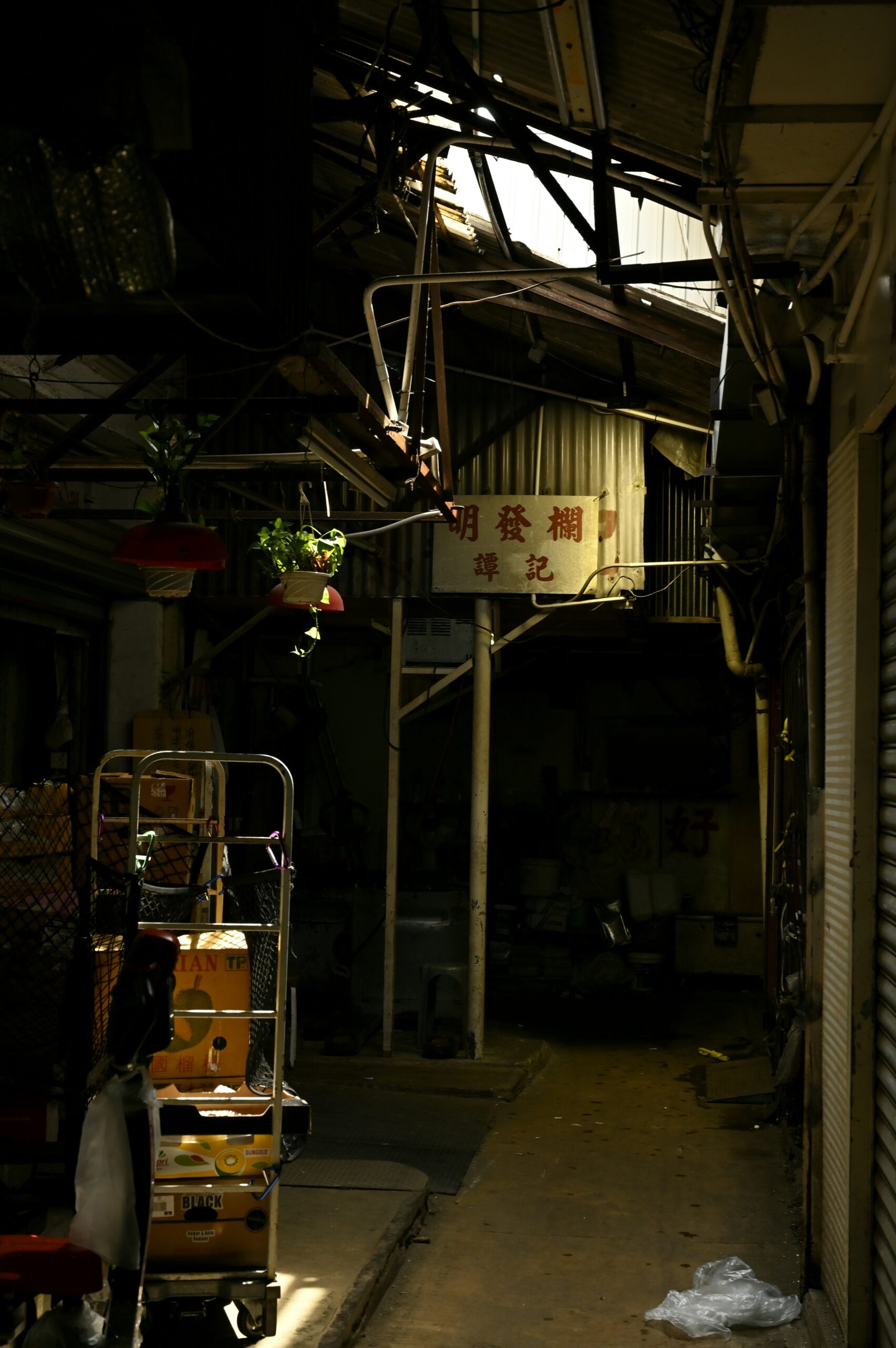 Pop Icon Ayumi Hamasaki Adjusts Tour Schedule After Hong Kong Tragedy