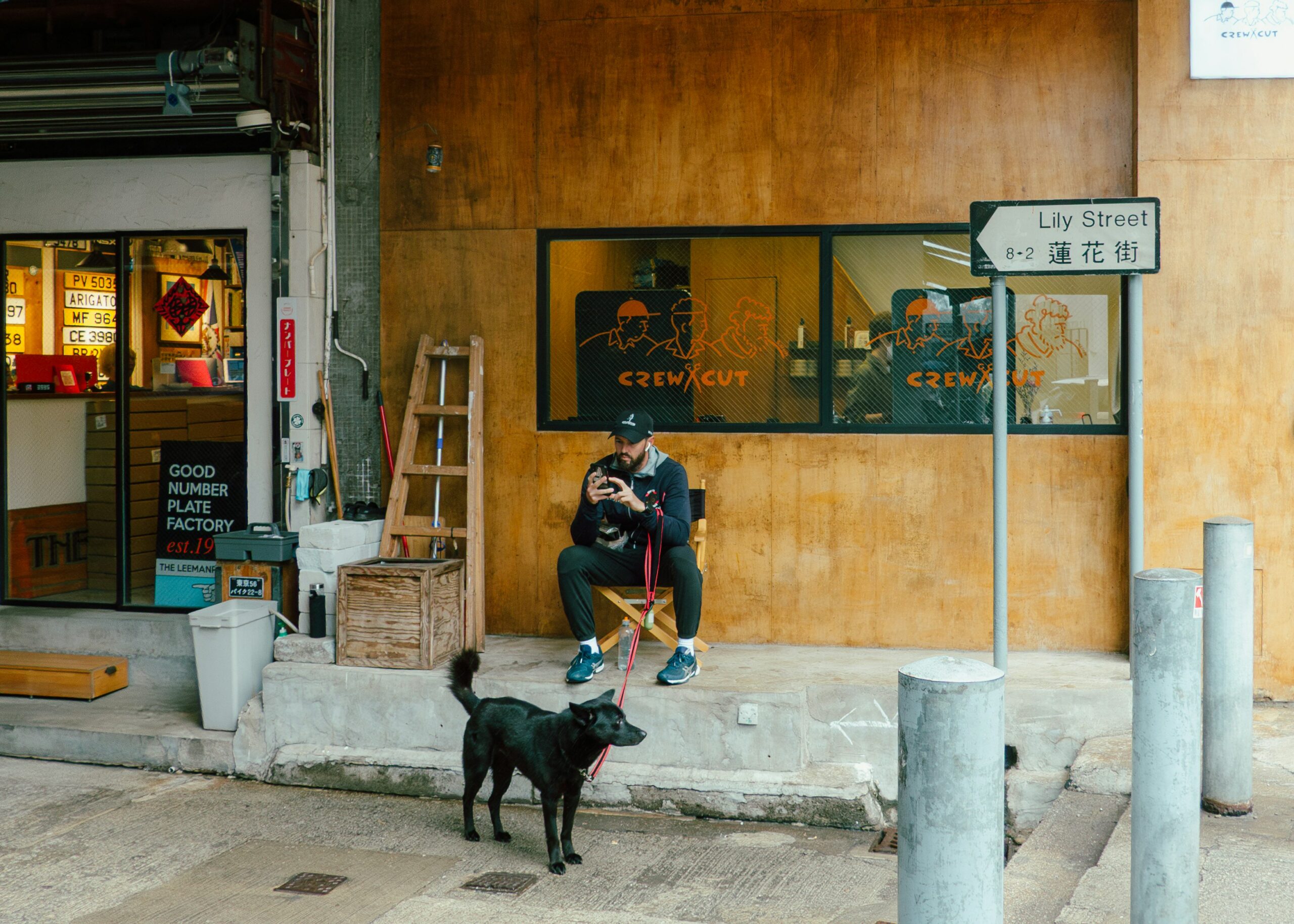 Pop Star Cath Wong Details How Chihuahua Shaped Art and Life