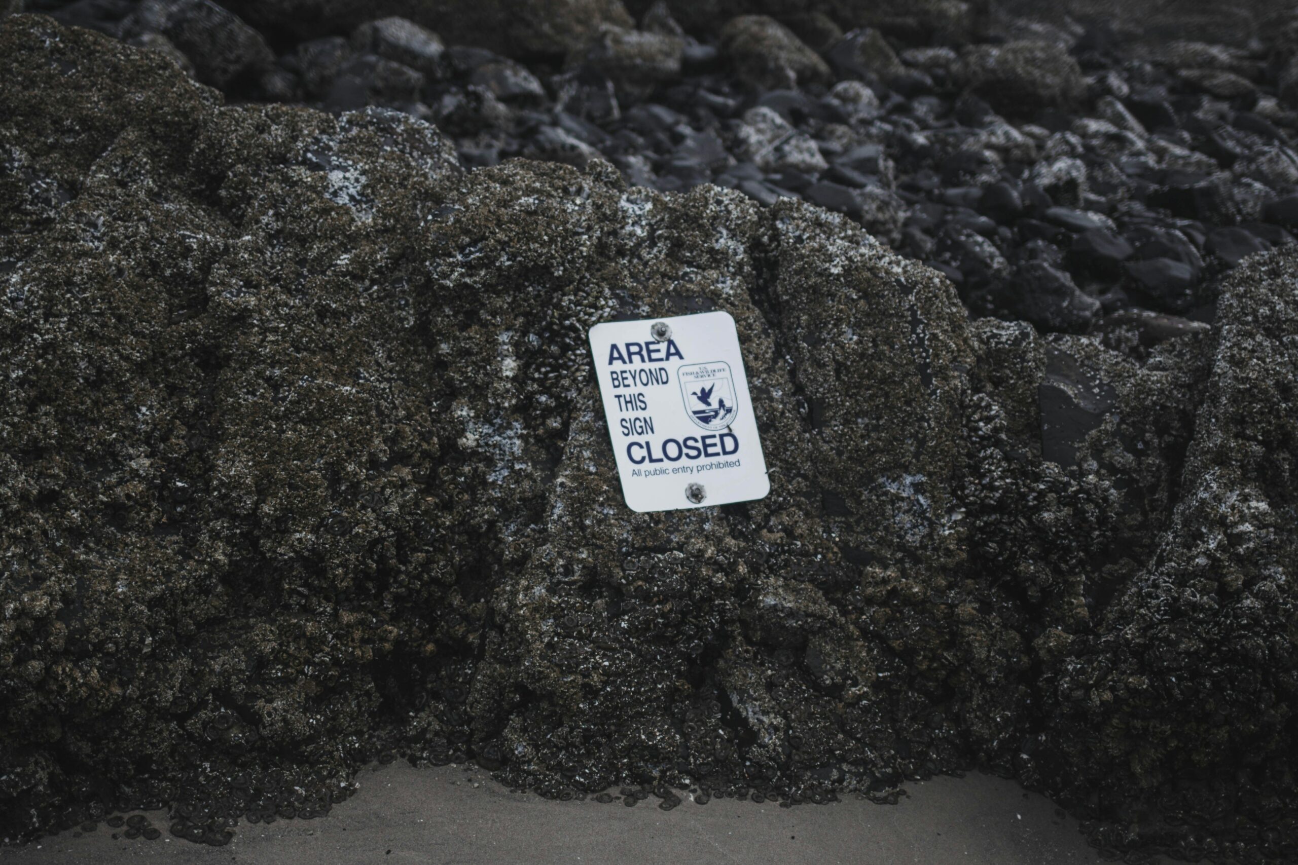 Scientists Discover Rare Earth Mineral Deposit Under Deep Ocean