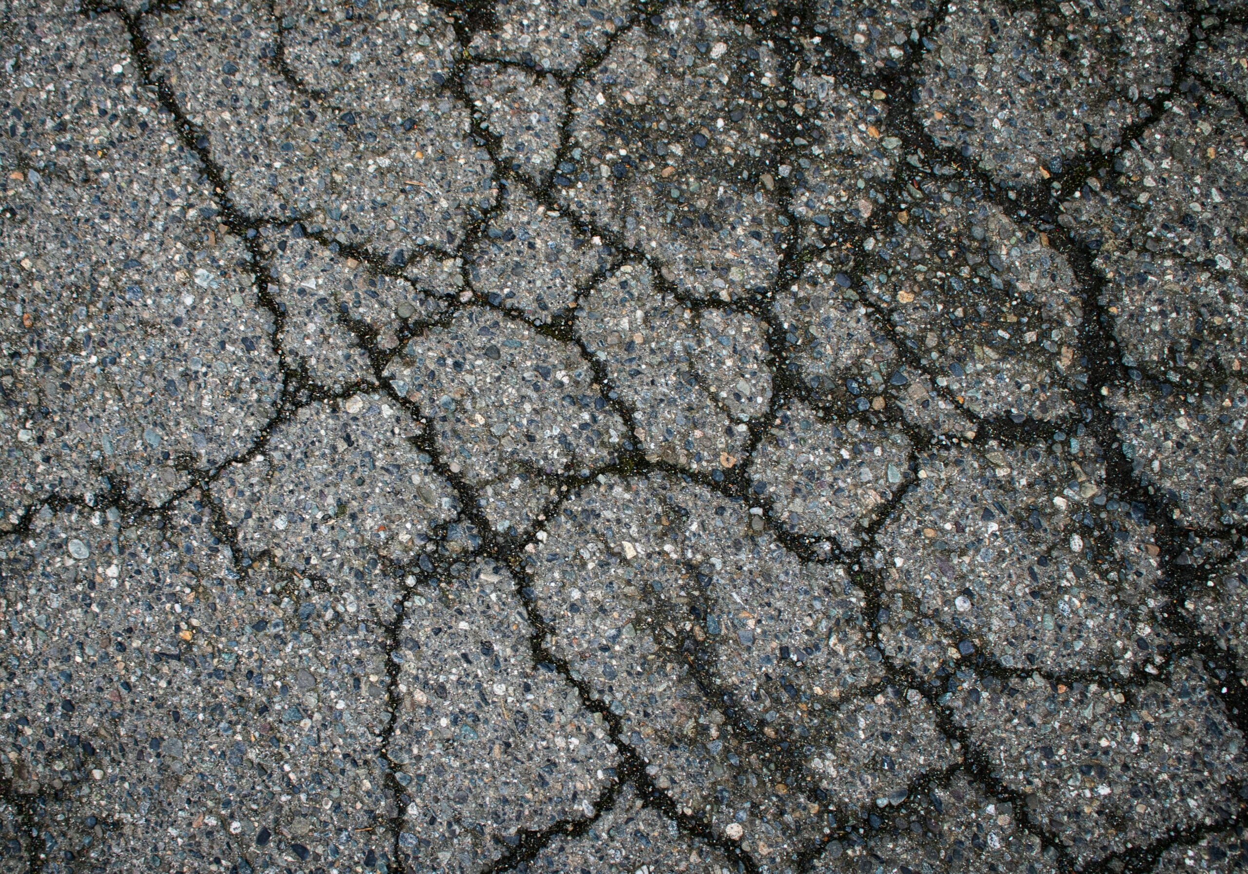 Global Heatwave Intensifies Climate Crisis Across Northern Hemisphere