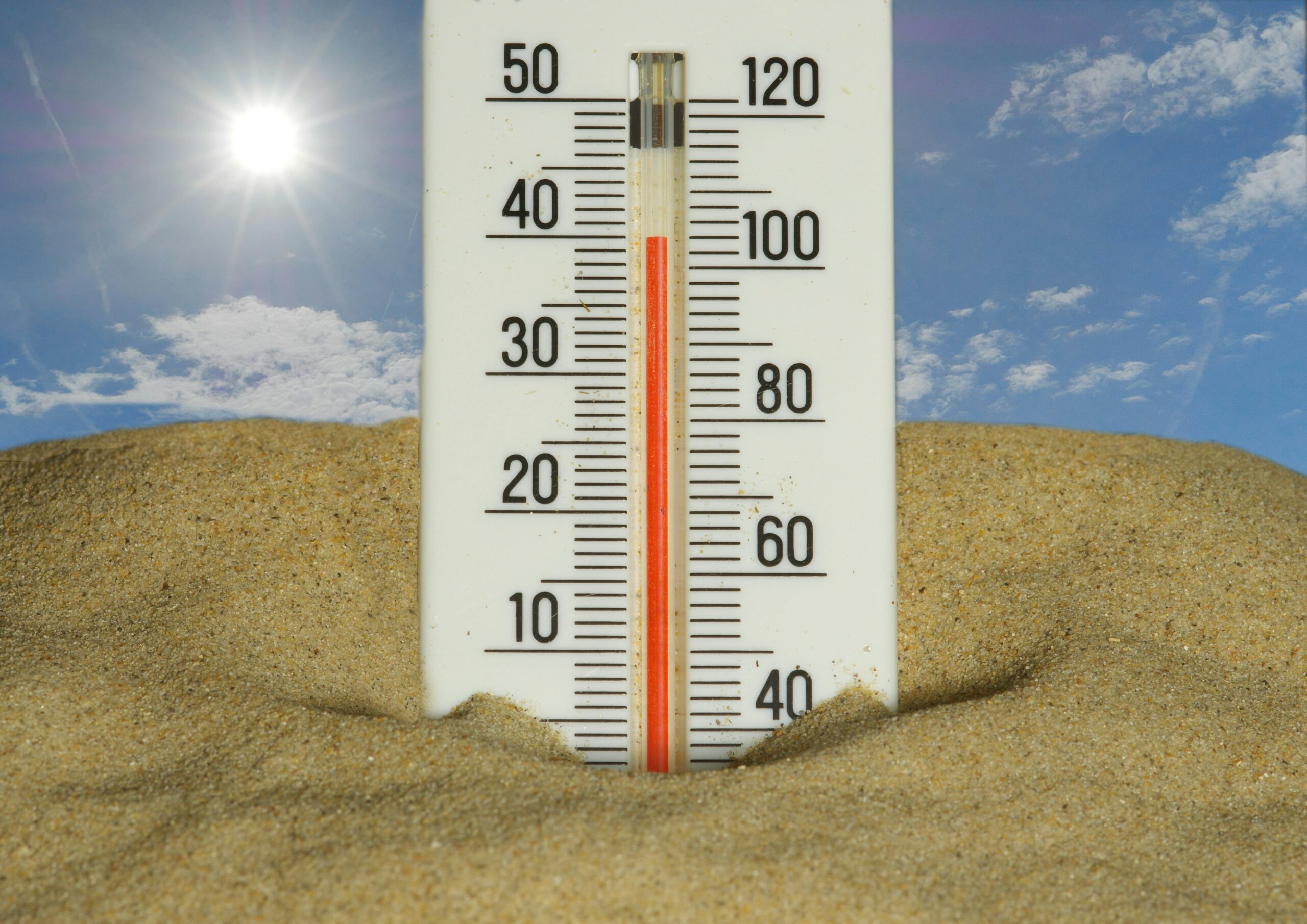 Global Heat Scorches Planet, Setting New Temperature Records